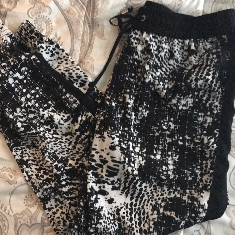 Express Jogger Style Pants